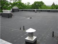 Gray roof